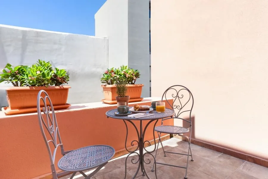The terrace with the potted plants